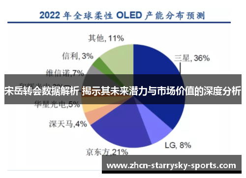 宋岳转会数据解析 揭示其未来潜力与市场价值的深度分析