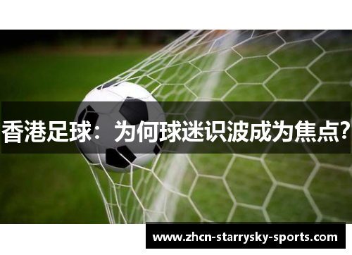 香港足球:为何球迷识波成为焦点? 香港足球:为何球迷识波成为焦点?