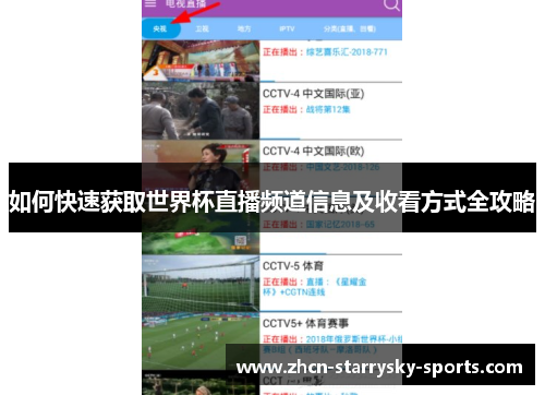 如何快速获取世界杯直播频道信息及收看方式全攻略