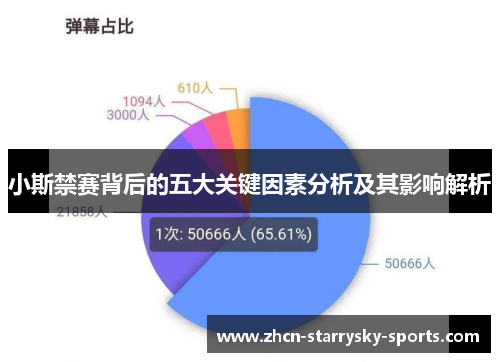 小斯禁赛背后的五大关键因素分析及其影响解析